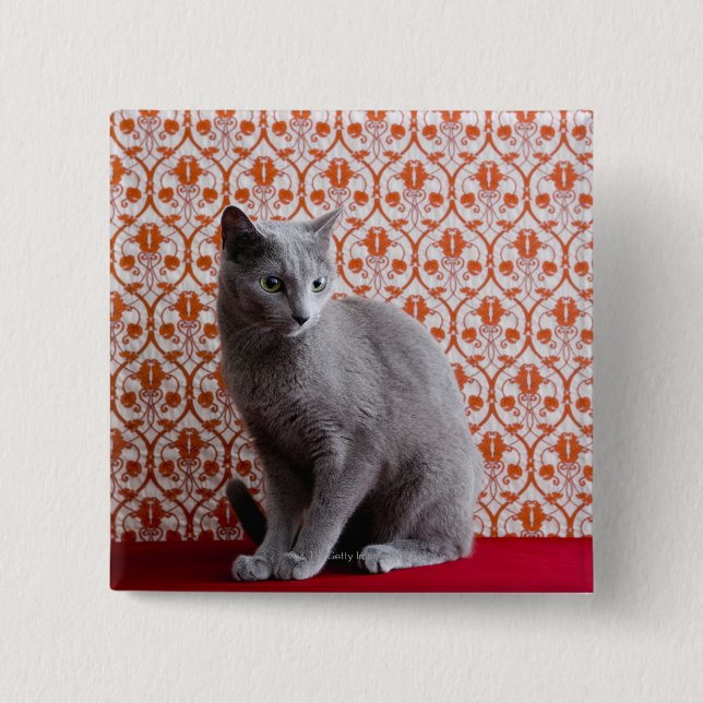 Cat (Russian blue) and wallpaper background 15 Cm Square Badge (Front)