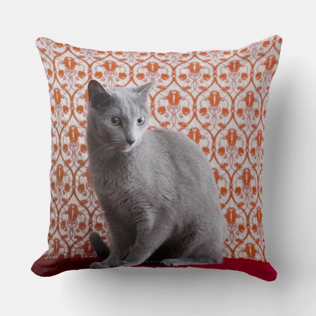 Cat (Russian blue) and wallpaper background Cushion (Front)