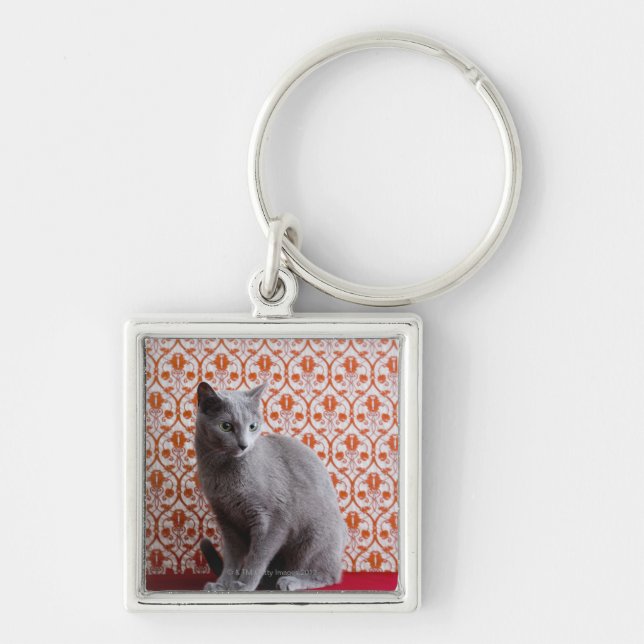 Cat (Russian blue) and wallpaper background Key Ring (Front)