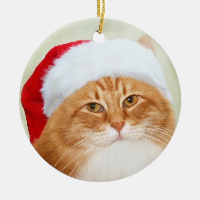 Cat Santa Claus Ceramic Tree Decoration (Front)