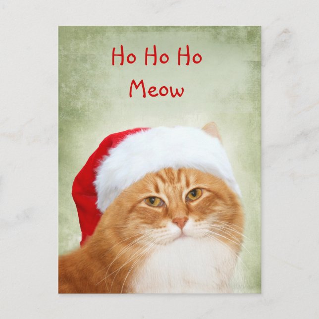 Cat Santa Claus Holiday Postcard (Front)