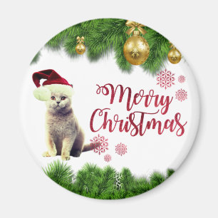 Cat,Santa Hat,Christmas Balls Magnet