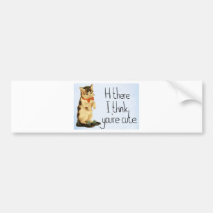 Cat Saying Bumper Sticker