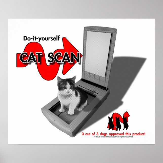 CAT SCAN POSTER (Front)