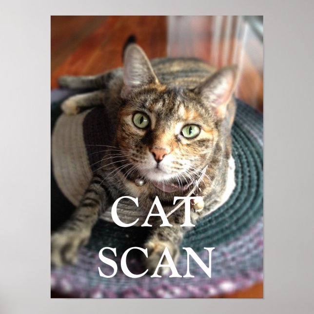CAT SCAN POSTER (Front)