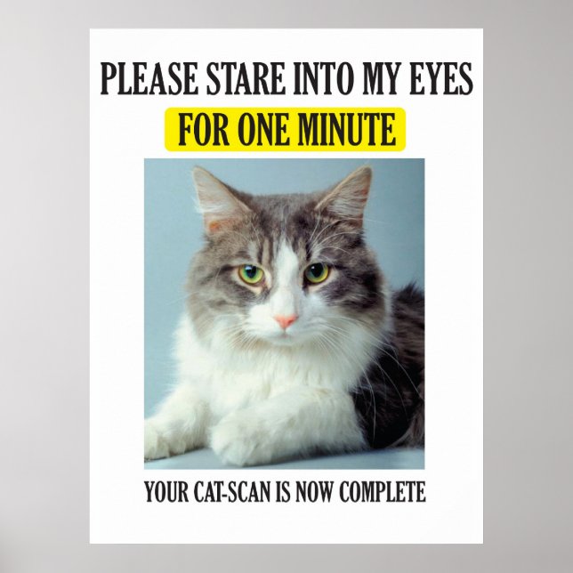 Cat Scan Poster (Front)