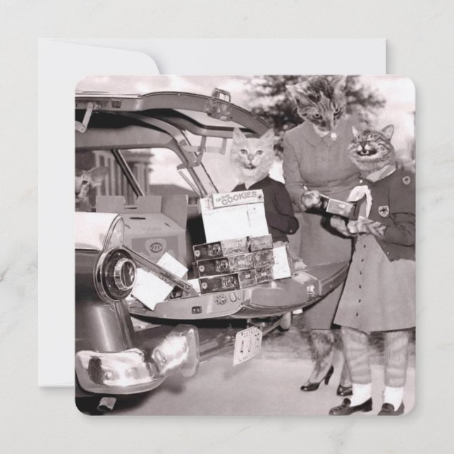 Cat Scout Cookies for Sale! Flat Greeting Card (Front)