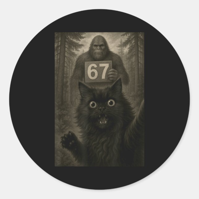 Cat Selfie 67 Meme Six Seven Funny Bigfoot  Classic Round Sticker (Front)
