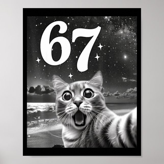Cat Selfie With 67 Meme Funny Cats Graphic For Men Poster (Front)