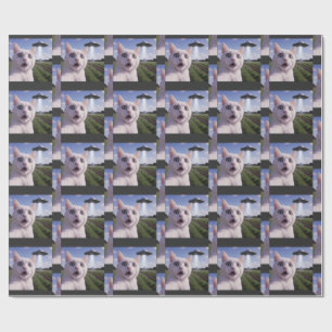 Cat Selfie With Alien Ufo Wrapping Paper
