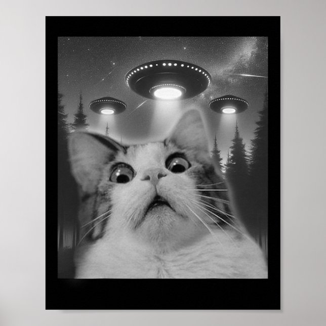 Cat Selfie With Ufos  Poster (Front)