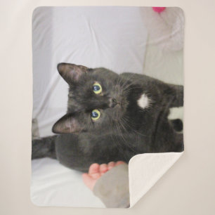 Cat Sherpa Blanket