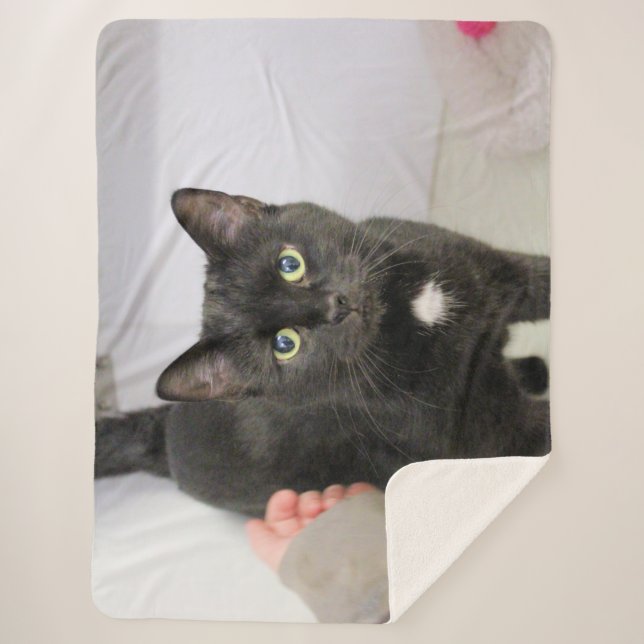 Cat Sherpa Blanket (Front)