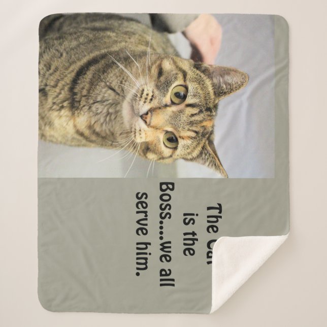 Cat  sherpa blanket (Front)