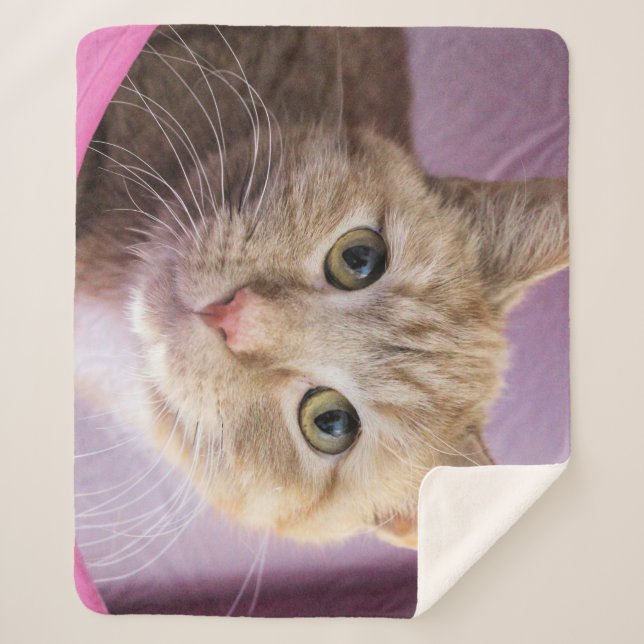 Cat Sherpa Blanket (Front)