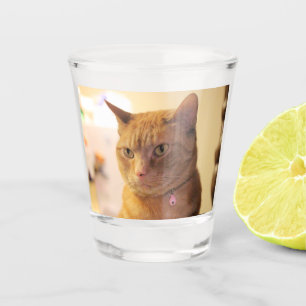 Cat Shot Glass