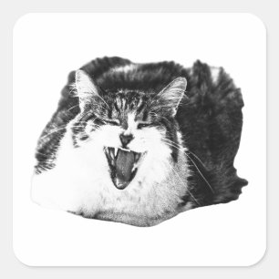 Cat Shout, Peel Art Square Sticker