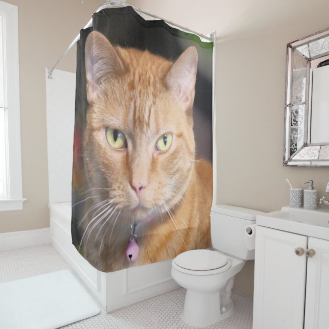 Cat Shower Curtain (In Situ)