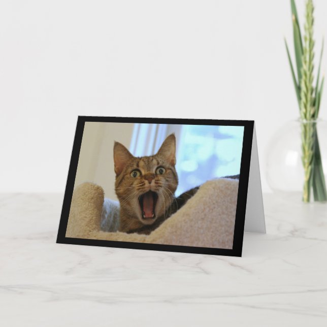 Cat Singing Happy Birthday Card (Front)