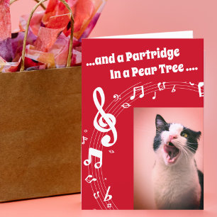 Cat SINGING Humour Song Red Christmas Card