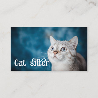 cat sitter business card