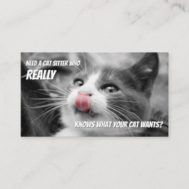 Cat sitters funny cat care pet care service busine business card (Front)