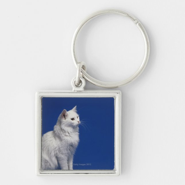 Cat sitting against blue background key ring (Front)