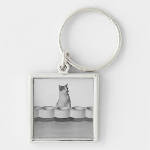 Cat sitting and licking beside pet bowl on white key ring