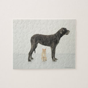 Cat sitting beneath Great Dane Jigsaw Puzzle