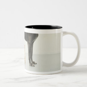 Cat sitting beneath Great Dane Two-Tone Coffee Mug