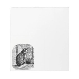Cat Sitting by Window with Book Notepad
