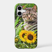 Cat Sitting in Garden with Sunflowers