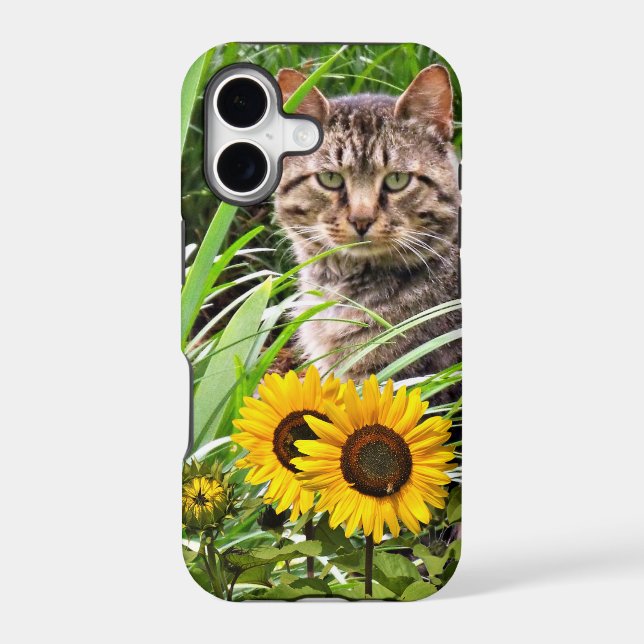  Cat Sitting in Garden with Sunflowers  (Back)