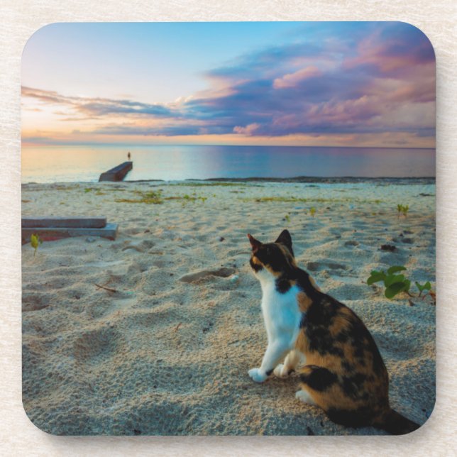 Cat Sitting On A Beach Coaster (Front)