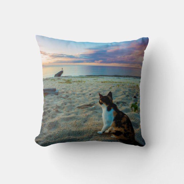 Cat Sitting On A Beach Cushion (Front)