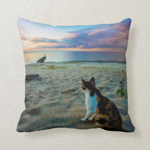 Cat Sitting On A Beach Cushion