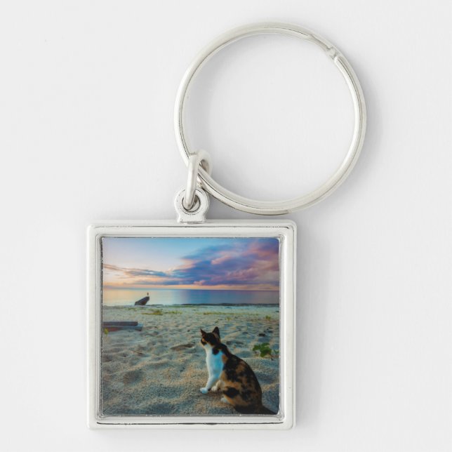Cat Sitting On A Beach Key Ring (Front)