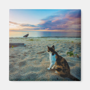Cat Sitting On A Beach Magnet