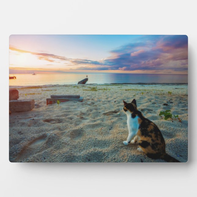 Cat Sitting On A Beach Plaque (Front)