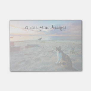 Cat Sitting On A Beach Post-it Notes