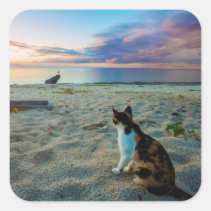 Cat Sitting On A Beach Square Sticker