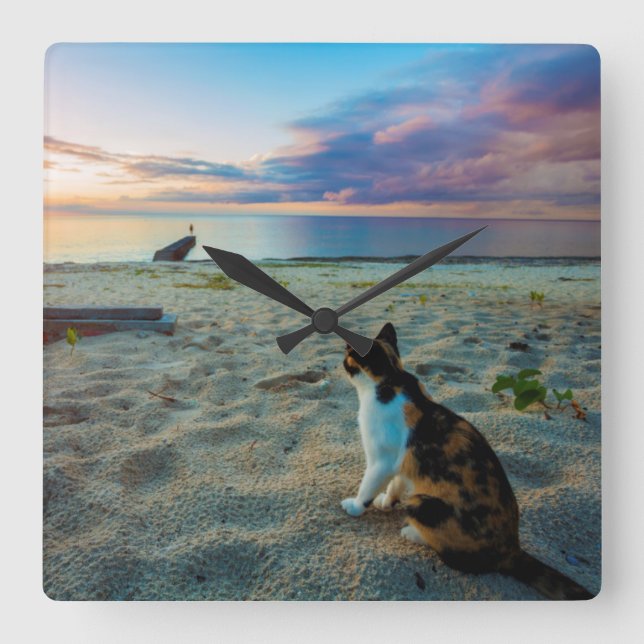 Cat Sitting On A Beach Square Wall Clock (Front)
