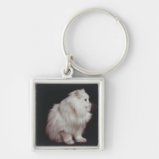 Cat sitting on black background, close-up key ring (Front)