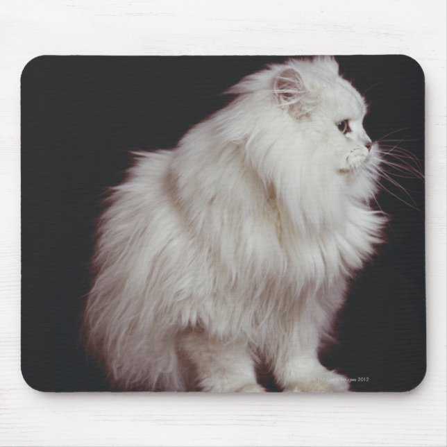 Cat sitting on black background, close-up mouse pad (Front)