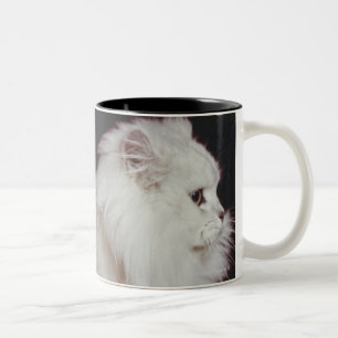 Cat sitting on black background, close-up Two-Tone coffee mug