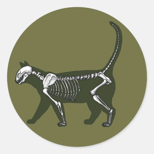Cat Skeleton Classic Round Sticker (Front)