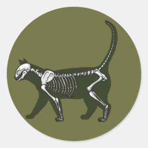 Cat Skeleton Classic Round Sticker
