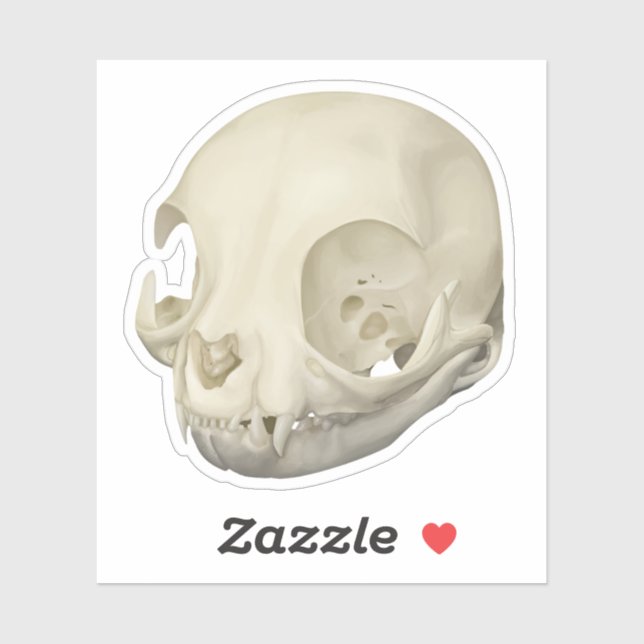 Cat Skull (Sheet)