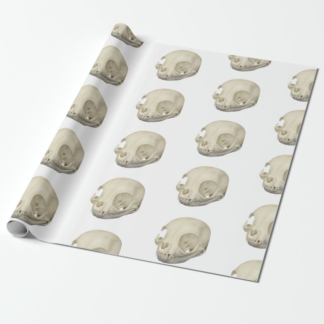 Cat Skull Wrapping Paper (Unrolled)