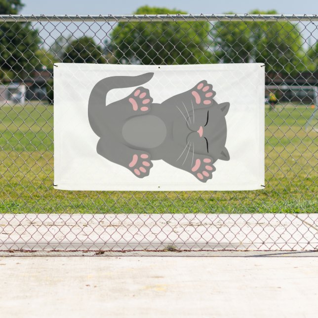 Cat Sleeping Banner (Insitu)